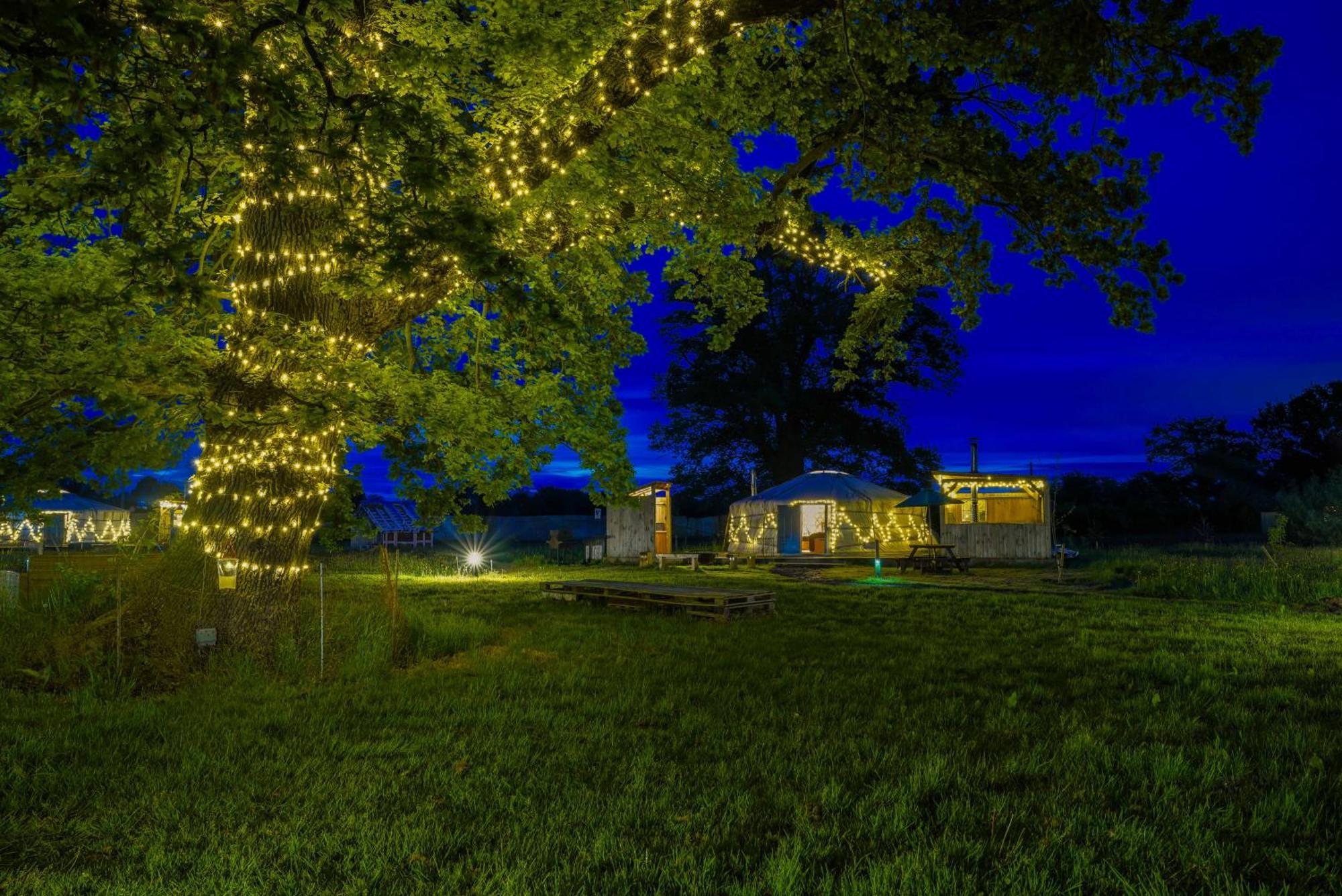 ホテル Glamp And Tipple Ltd Great Ellingham エクステリア 写真